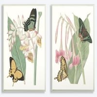 Колекцијата за украси на куќи за домашни пеперутки и илустрации на илустрации на илустрации, уметнички сет, 0. 15