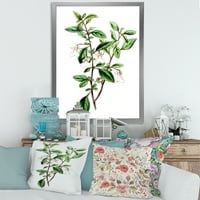 Дизајн на „Антички зелени лисја Растенија VII“ Традиционална врамена уметничка печатење
